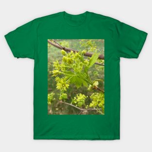 Maple Flowers T-Shirt